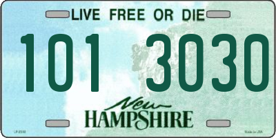 NH license plate 1013030