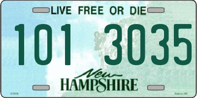 NH license plate 1013035