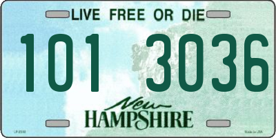 NH license plate 1013036