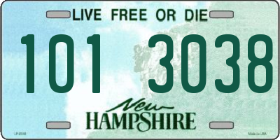 NH license plate 1013038