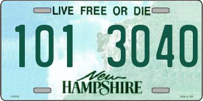 NH license plate 1013040