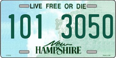 NH license plate 1013050