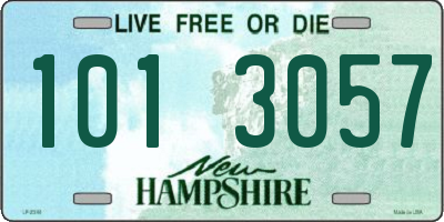 NH license plate 1013057