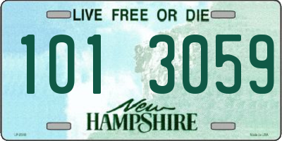 NH license plate 1013059