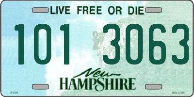 NH license plate 1013063