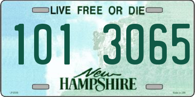 NH license plate 1013065