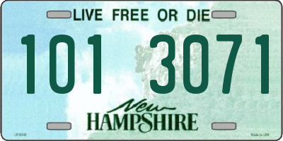 NH license plate 1013071