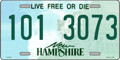 NH license plate 1013073