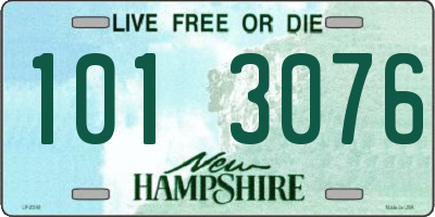 NH license plate 1013076