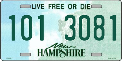 NH license plate 1013081