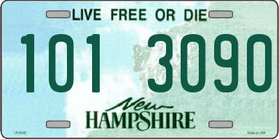 NH license plate 1013090