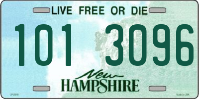 NH license plate 1013096