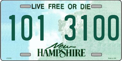 NH license plate 1013100