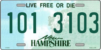 NH license plate 1013103