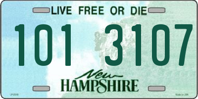 NH license plate 1013107