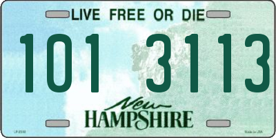 NH license plate 1013113