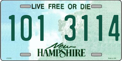 NH license plate 1013114