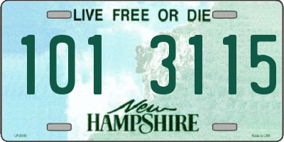 NH license plate 1013115