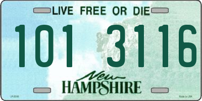 NH license plate 1013116