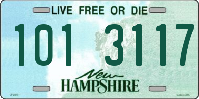 NH license plate 1013117