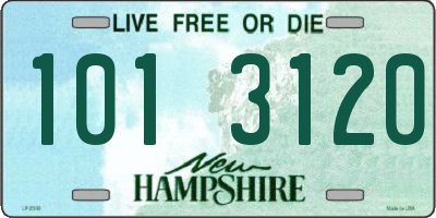 NH license plate 1013120