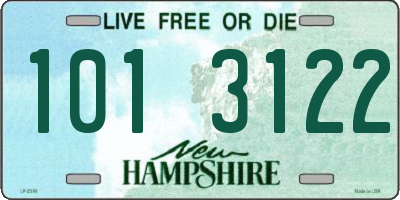 NH license plate 1013122