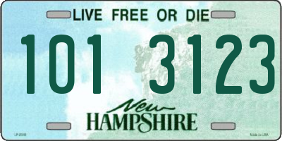 NH license plate 1013123