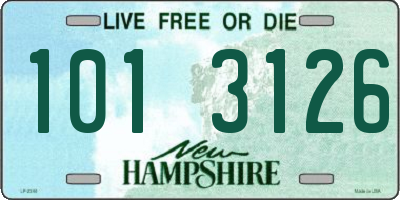 NH license plate 1013126