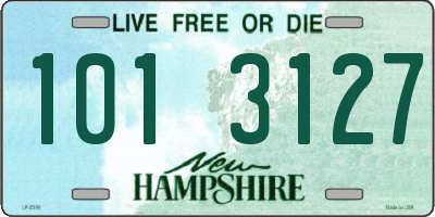 NH license plate 1013127