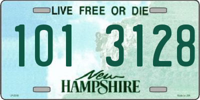 NH license plate 1013128