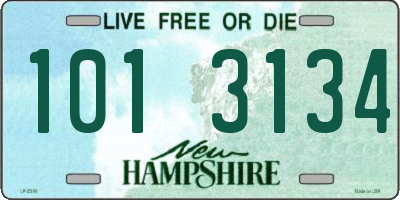 NH license plate 1013134