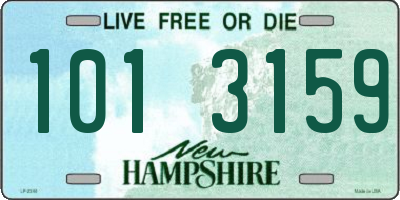 NH license plate 1013159