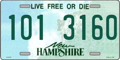 NH license plate 1013160