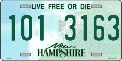 NH license plate 1013163