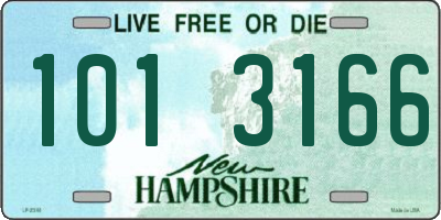 NH license plate 1013166