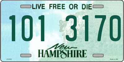 NH license plate 1013170