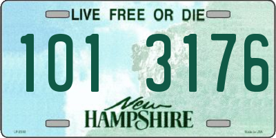 NH license plate 1013176