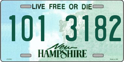 NH license plate 1013182