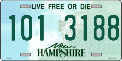 NH license plate 1013188