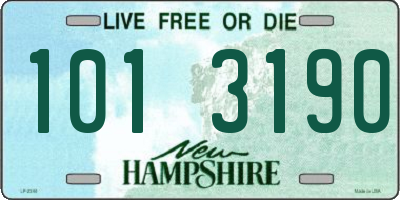 NH license plate 1013190