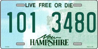 NH license plate 1013480