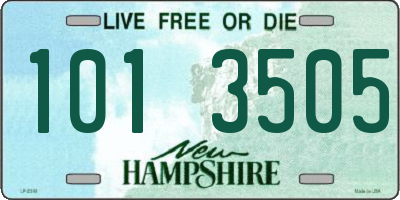 NH license plate 1013505