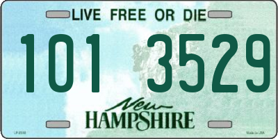 NH license plate 1013529