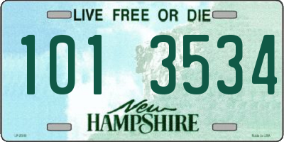 NH license plate 1013534