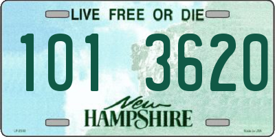 NH license plate 1013620