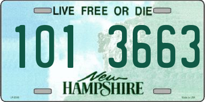 NH license plate 1013663