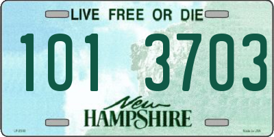 NH license plate 1013703