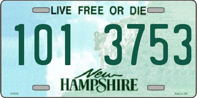 NH license plate 1013753