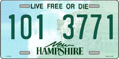 NH license plate 1013771