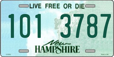 NH license plate 1013787